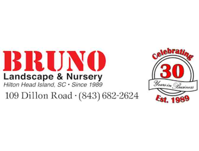 Backyard Bliss Custom Birdhouse and Landscaping Gift - Photo 1