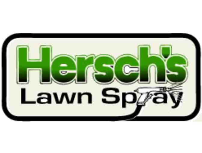 Hersch's Lawn Spray-One Year of Lawn Fertilization