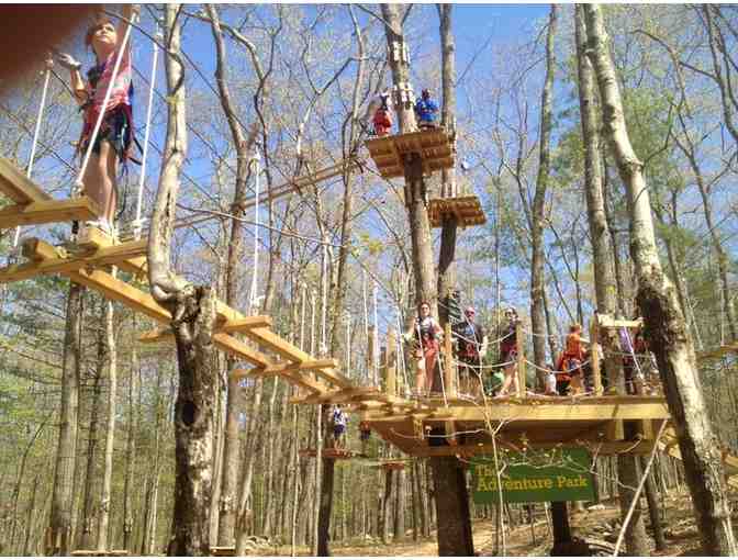 Treetop Climbing Adventure for Two - The Adventure Park at Storrs