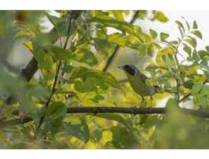 Wissahickon Field Ecology Course