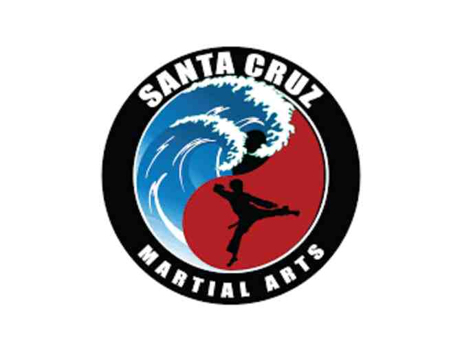 Santa Cruz Martial Arts & Fitness - Month of Membership