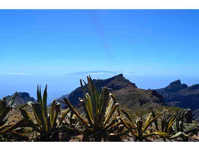 7 Nights Cycling in Canary Islands for 2