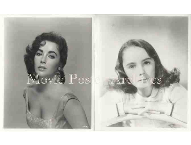 ELIZABETH TAYLOR, group of 10 8x10 classic celebrity portraits and photos