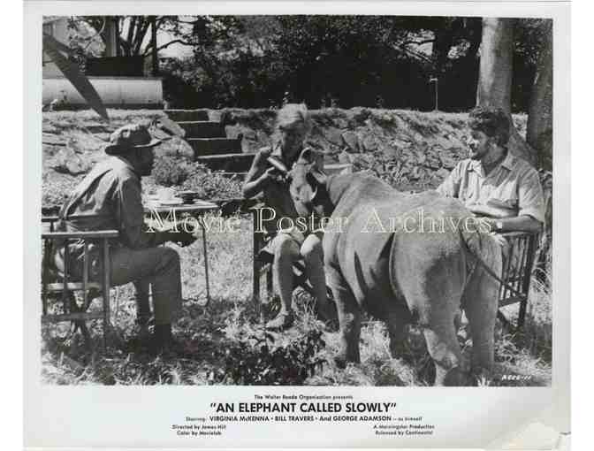 ELEPHANT CALLED SLOWLY, 1969, movie stills, Virginia McKenna, Bill Travers.