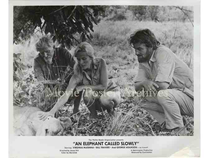 ELEPHANT CALLED SLOWLY, 1969, movie stills, Virginia McKenna, Bill Travers.