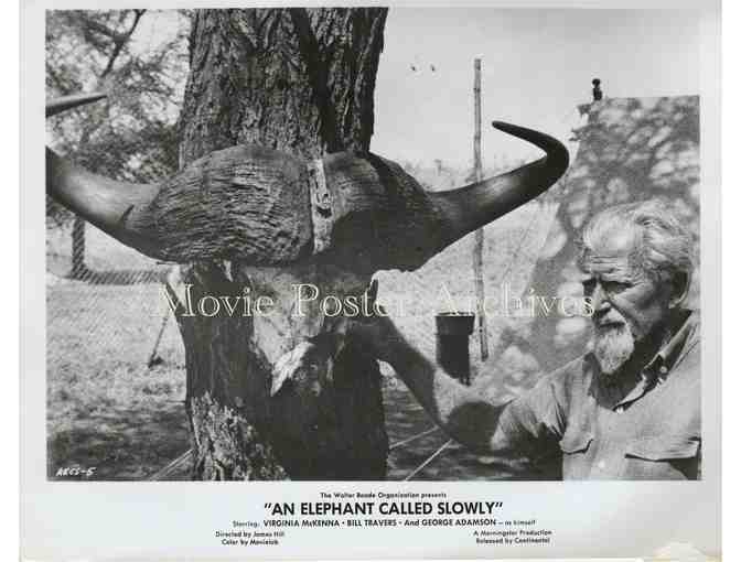 ELEPHANT CALLED SLOWLY, 1969, movie stills, Virginia McKenna, Bill Travers.