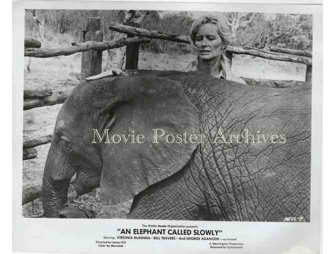 ELEPHANT CALLED SLOWLY, 1969, movie stills, Virginia McKenna, Bill Travers.