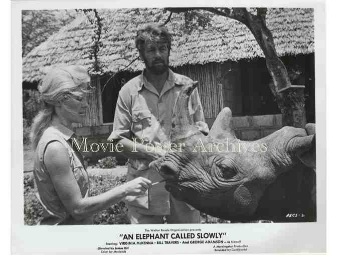 ELEPHANT CALLED SLOWLY, 1969, movie stills, Virginia McKenna, Bill Travers.