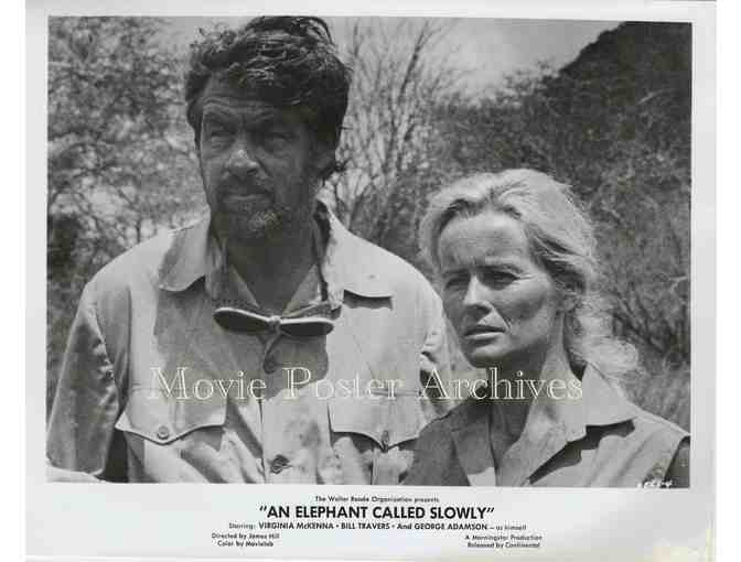 ELEPHANT CALLED SLOWLY, 1969, movie stills, Virginia McKenna, Bill Travers.