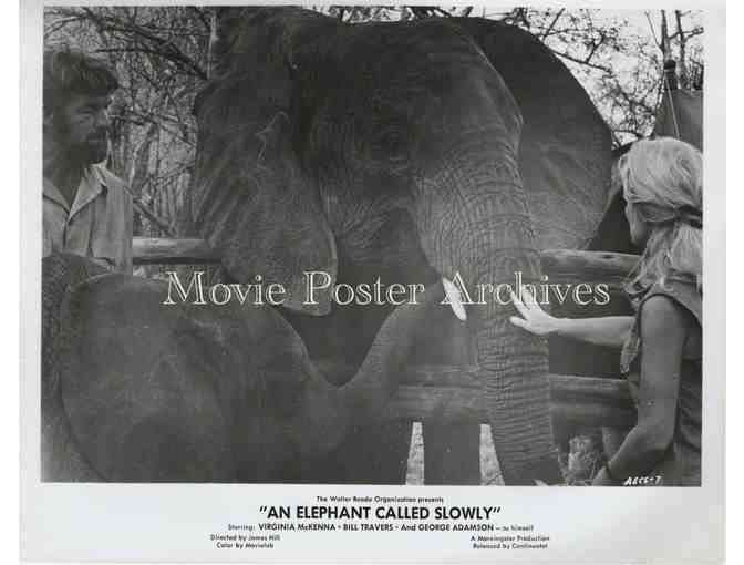 ELEPHANT CALLED SLOWLY, 1969, movie stills, Virginia McKenna, Bill Travers.