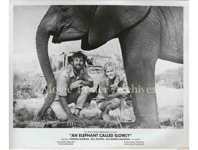 ELEPHANT CALLED SLOWLY, 1969, movie stills, Virginia McKenna, Bill Travers.