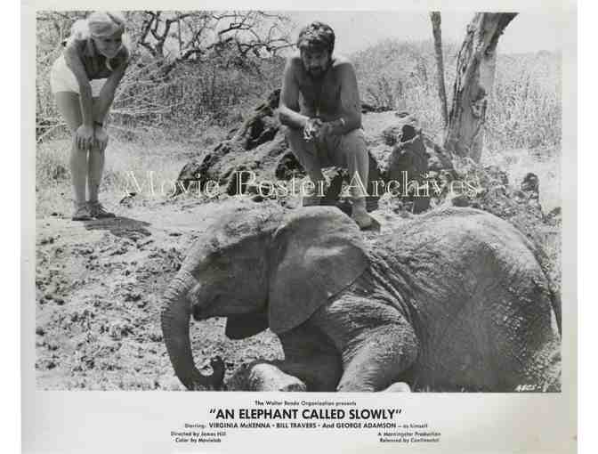 ELEPHANT CALLED SLOWLY, 1969, movie stills, Virginia McKenna, Bill Travers.