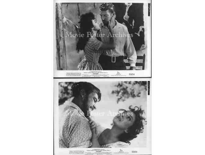 UNTAMED, 1955, movie stills and photos, Tyrone Power Jr., Susan Hayward