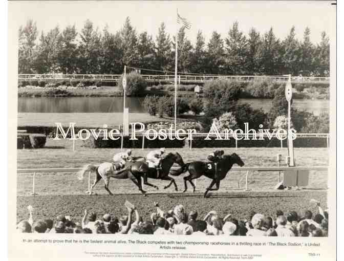 BLACK STALLION, 1979, movie stills, Kelly Reno, Mickey Rooney