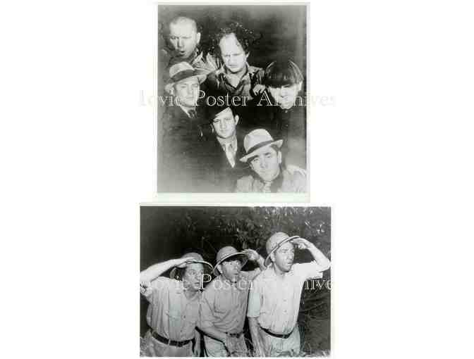 THREE STOOGES, 10 CLASSIC PHOTOS-A, Curly, Mo and Shemp Howard, Larry Fine.