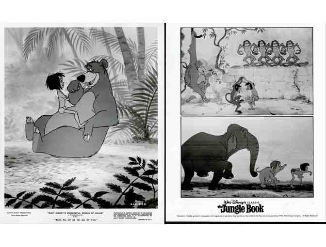 JUNGLE BOOK, 1967, movie stills, Walt Disney cartoon