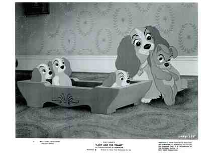 LADY AND THE TRAMP, 1955, movie stills, COLLECTORS LOT, Walt Disney cartoon