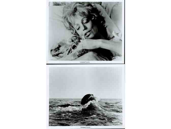 JAWS, 1975, movie stills, Roy Scheider, Richard Dreyfuss