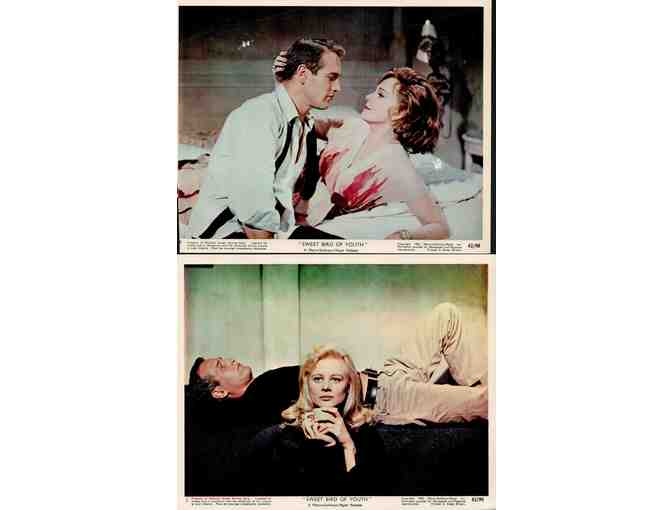 SWEET BIRD OF YOUTH, 1962, mini lobby cards, Paul Newman, Geraldine Page