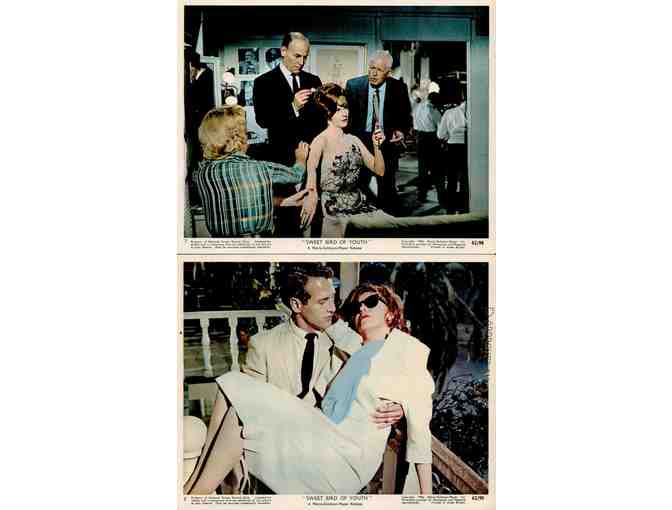 SWEET BIRD OF YOUTH, 1962, mini lobby cards, Paul Newman, Geraldine Page