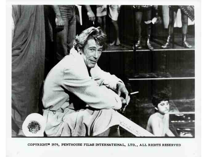 PETER OTOOLE, group of classic celebrity portraits, stills or photos