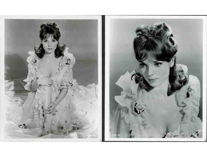 ELAS MARTINELLI, group of classic celebrity portraits, stills or photos