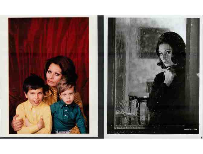 SOPHIA LOREN, collectors lot, group of classic celebrity portraits, stills or photos