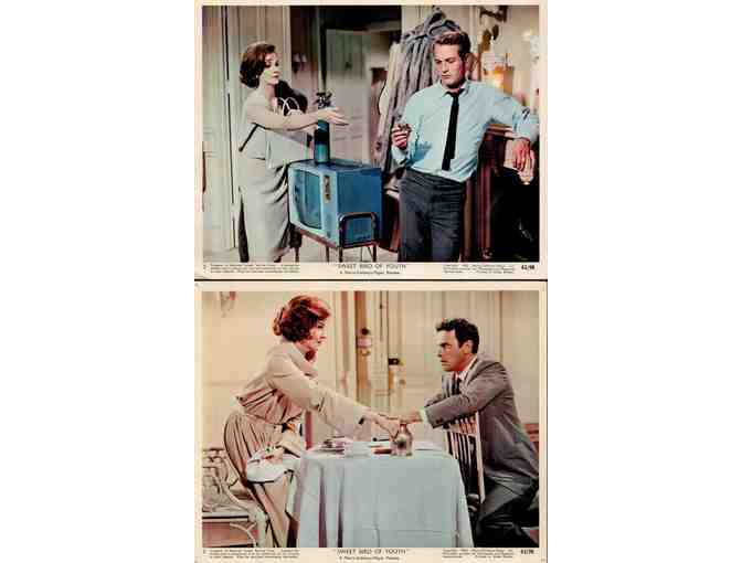 SWEET BIRD OF YOUTH, 1962, mini lobby cards, Paul Newman, Geraldine Page