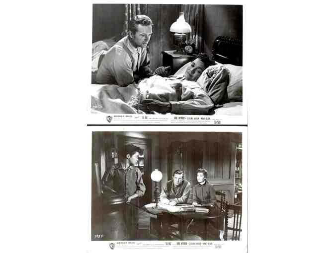 SO BIG, 1953, movie stills, Jane Wyman, Sterling Hayden