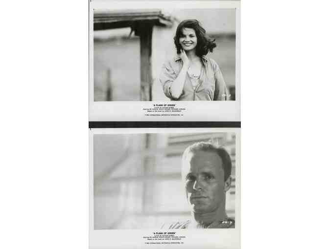 FLASH OF GREEN, 1984, movie stills, Ed Harris, Blair Brown