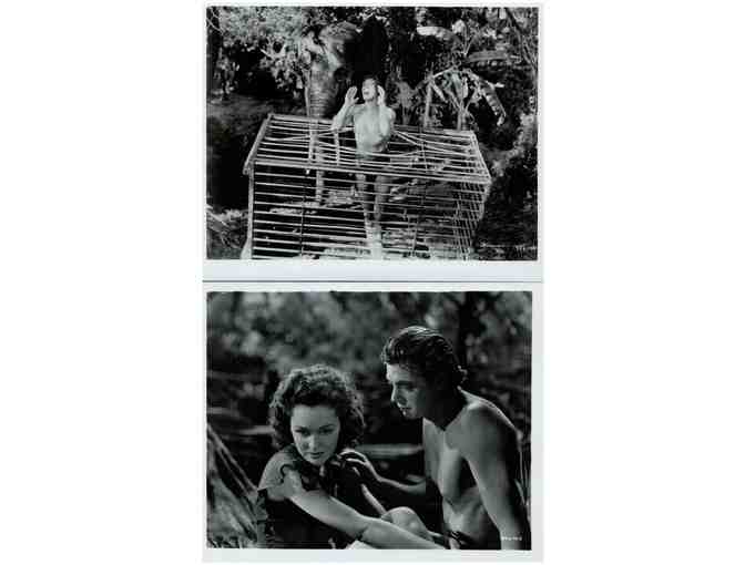 TARZAN ESCAPES, 1936, movie stills, Johnny Weissmuller, Maureen Osullivan