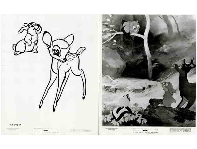 BAMBI, 1942, movie stills, collectors lot, Walt Disney animated feature - Photo 4