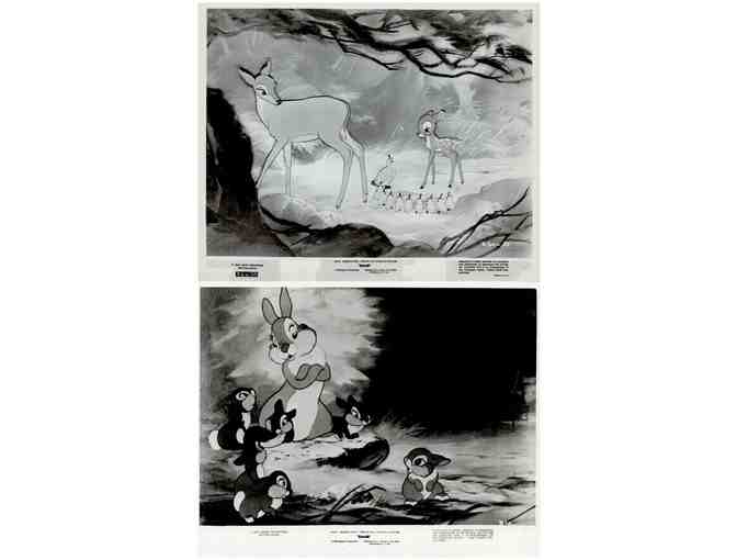 BAMBI, 1942, movie stills, collectors lot, Walt Disney animated feature - Photo 8