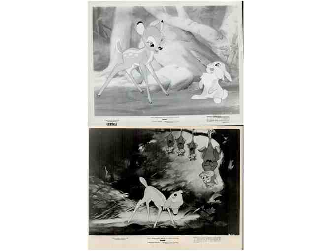 BAMBI, 1942, movie stills, collectors lot, Walt Disney animated feature - Photo 10