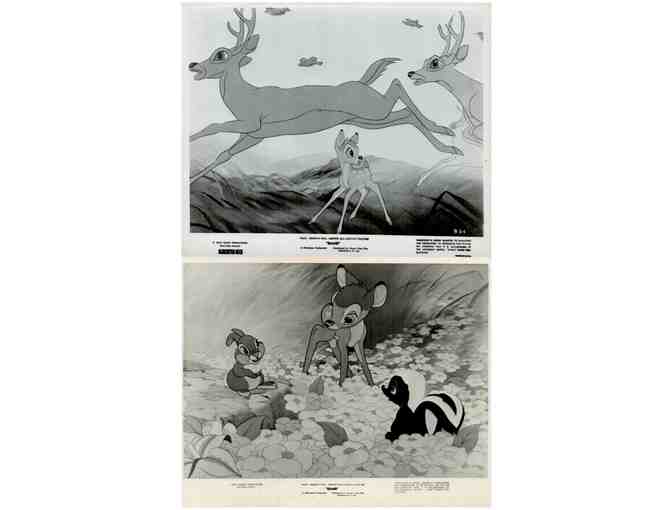 BAMBI, 1942, movie stills, collectors lot, Walt Disney animated feature - Photo 11