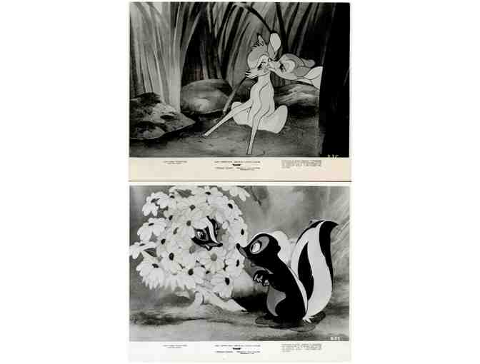 BAMBI, 1942, movie stills, collectors lot, Walt Disney animated feature - Photo 13