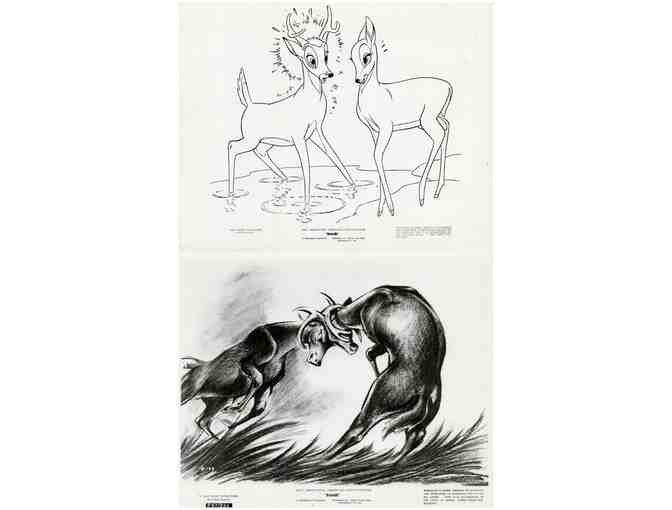 BAMBI, 1942, movie stills, collectors lot, Walt Disney animated feature - Photo 16