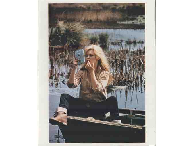 Brigitte Bardot, group of classic celebrity portraits, stills or photos