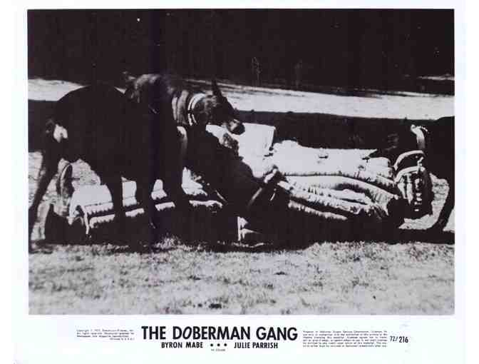 DOBERMAN GANG, 1972, movie stills, Julie Parrish, Byron Mabe