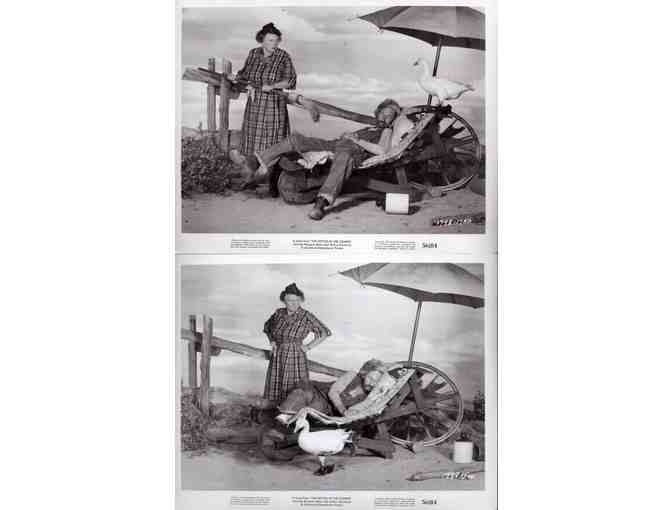 KETTLES IN THE OZARKS, 1956, movie stills, Marjorie Main