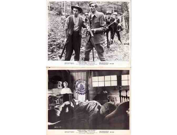 FACE OF FIRE, 1959, movie stills, Cameron Mitchell, James Whitmore