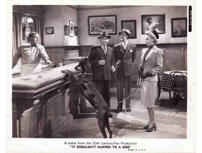 IT SHOULDNT HAPPEN TO A DOG, 1946, movie stills, Carole Landis