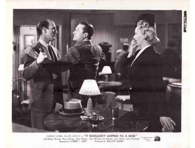 IT SHOULDNT HAPPEN TO A DOG, 1946, movie stills, Carole Landis