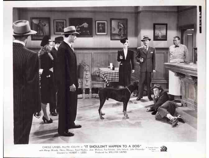 IT SHOULDNT HAPPEN TO A DOG, 1946, movie stills, Carole Landis