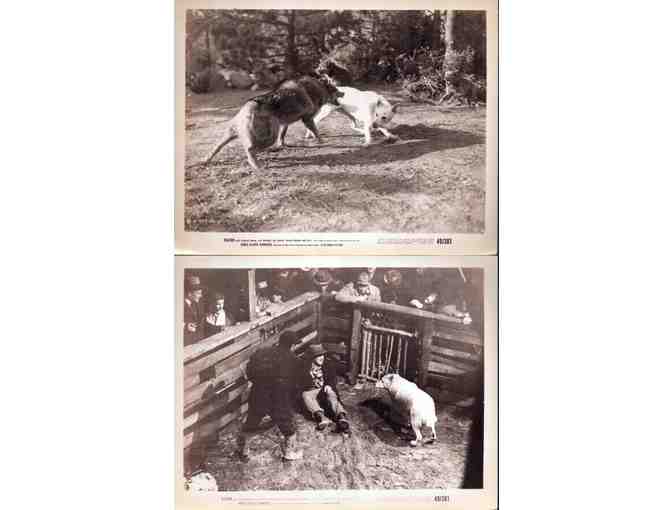 KAZAN, 1949, movie stills, Stephen Dunne, Lois Maxwell, Joe Sawyer