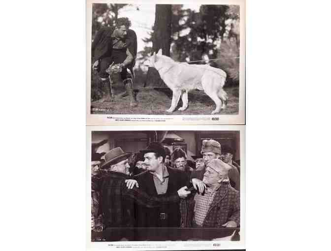 KAZAN, 1949, movie stills, Stephen Dunne, Lois Maxwell, Joe Sawyer