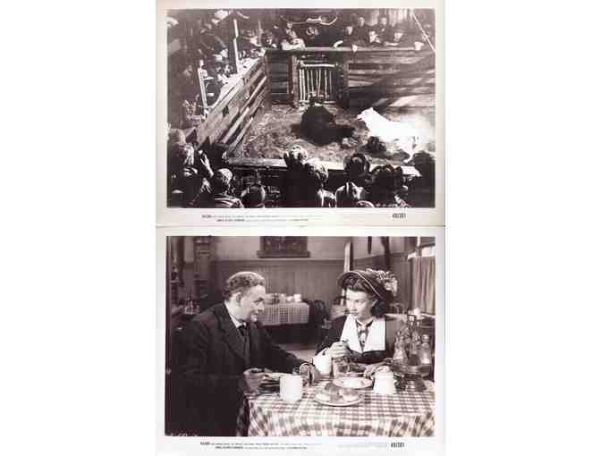 KAZAN, 1949, movie stills, Stephen Dunne, Lois Maxwell, Joe Sawyer