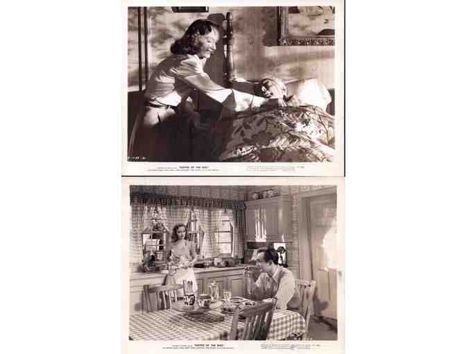 KEEPER OF THE BEES, 1947, movie stills, COLLECTORS LOT, Michael Duane, Gloria Henry