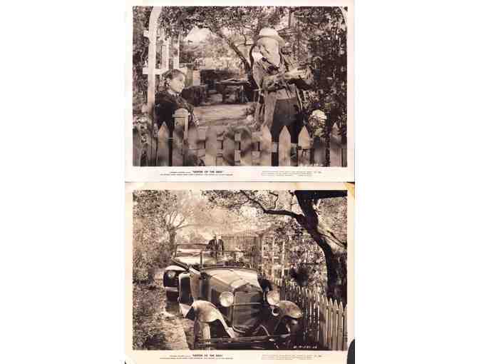 KEEPER OF THE BEES, 1947, movie stills, COLLECTORS LOT, Michael Duane, Gloria Henry