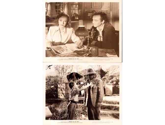KEEPER OF THE BEES, 1947, movie stills, COLLECTORS LOT, Michael Duane, Gloria Henry